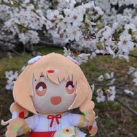 きらたまちゃん