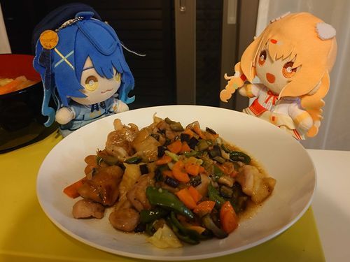 うちの子たちと一緒に晩ごはん🍚
おいしかったね