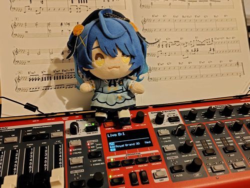 明日はライブの本番なので、あまみゃちゃんと一緒に練習中です🎹🎹

頑張ります💪💪