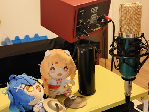 おうちでレコーディングしてました🥁🎤
きれいに音が撮れてよかったです✨