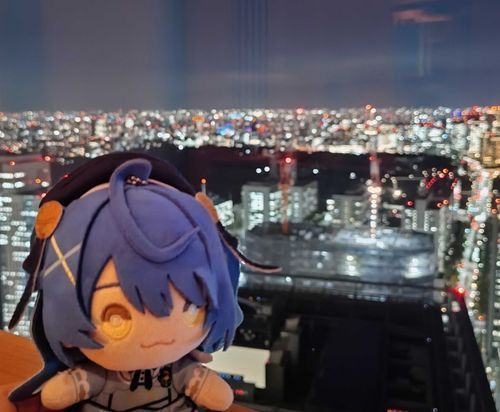 夜景がきれいなレストランに来ました✨✨✨

ご飯もおいしかったね