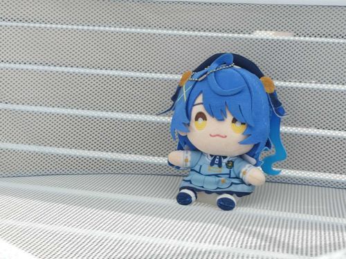 めっちゃ綺麗になりました✨

お風呂あったかかったね。
日陰でゆっくり休んでね。