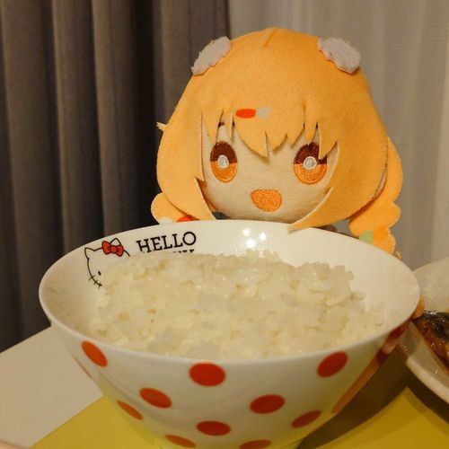 きらたまちゃん、ごはんおいしいね🍚
