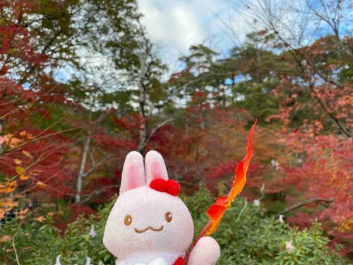 もみじもいいけど ももちゃんも みてね！