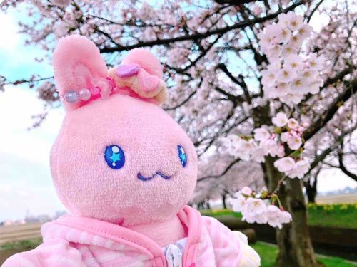 ももちゃん色できれいだね！