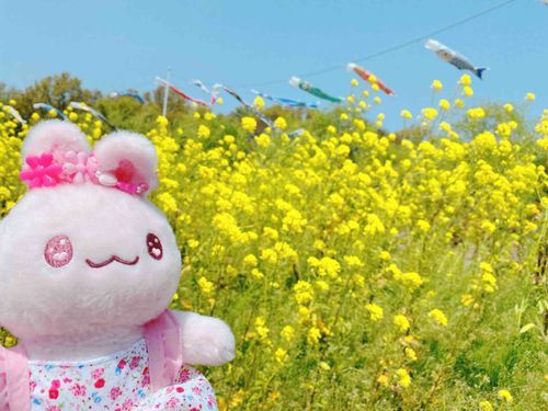 わぁ〜すごく、きれいなきいろだよぉ