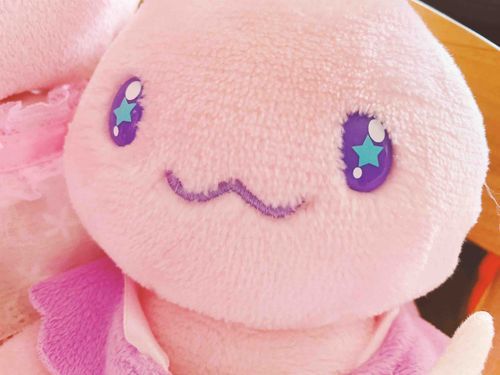 あっぷっぷ