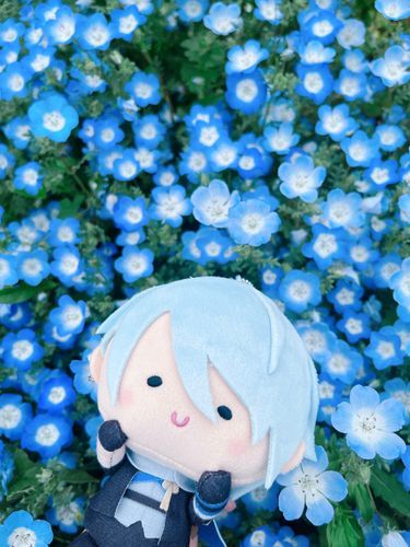 んまちょぎ💙