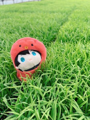 農家本丸、そろそろ田植えの時期‪🌱‬