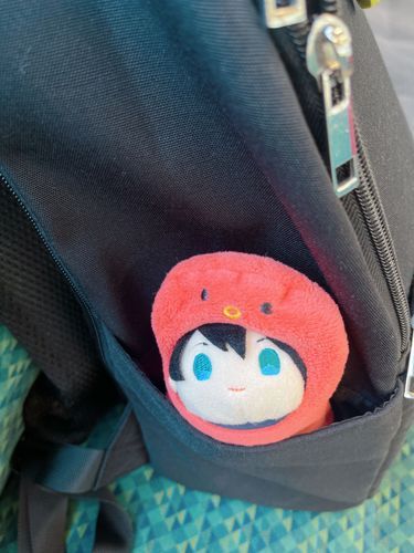 帰るよ！
