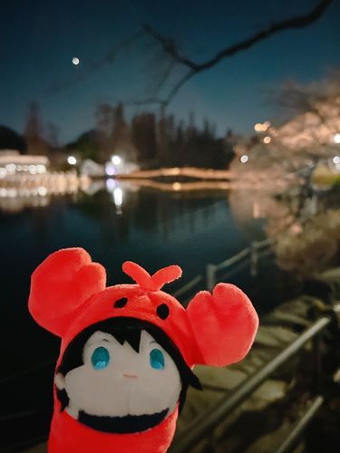 🌙