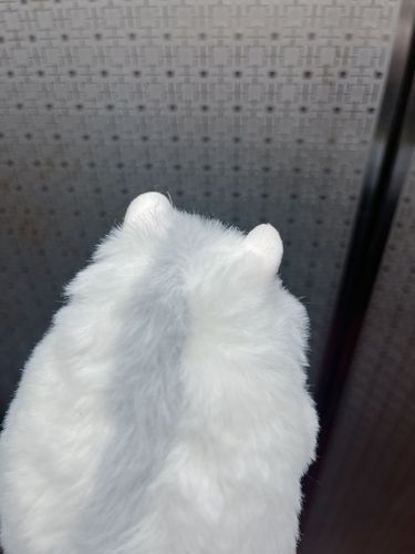 可愛がってやるからな……🌾