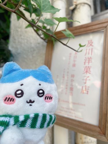 秋すいーつ🍁買いに来た！