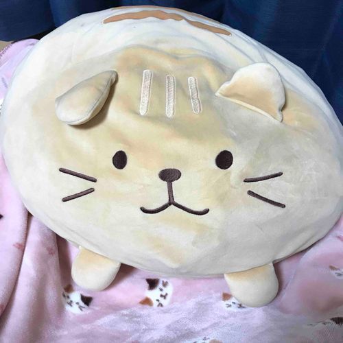 チャチャ丸〜〜〜
ひしゃげてるけどかわいいいい😍