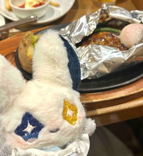 「✨」
美味しい美味しいハンバーグ。