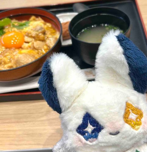 「！！」
とろとろ親子丼🐓