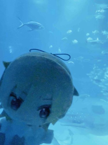 海遊館