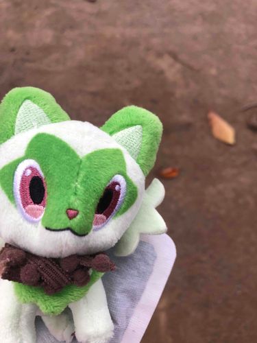 きょうはカイロと一緒におさんぽだぬんー！