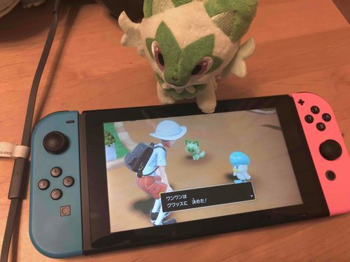 ニンゲンはスカーレットでこがもを選んだんだ…
ニンゲンめ…