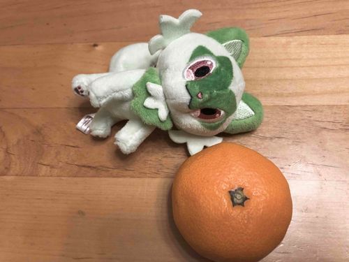 なんだかつかれたぬん…