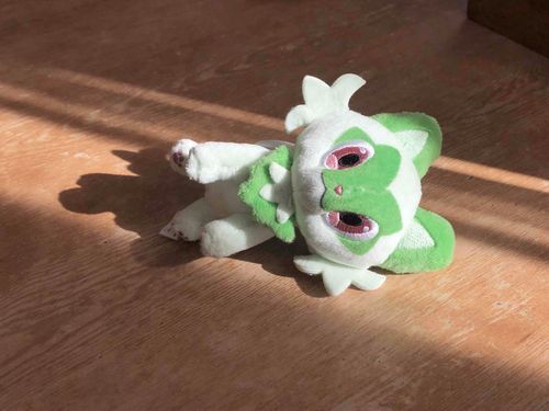何百年ぶりの朝だぬん…
ニンゲンえらいぬんね~