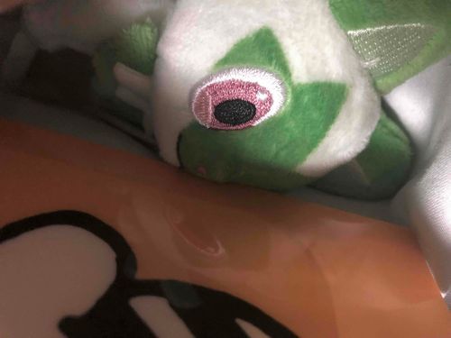 ニンゲンのバイトにこっそりついてきたら見つかったぬん…
