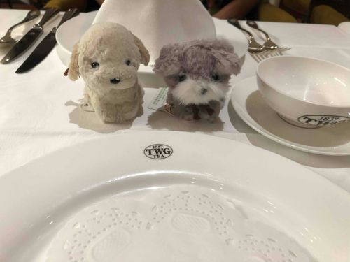 おじいちゃんとディナー🍽