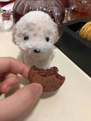 おいしいです！