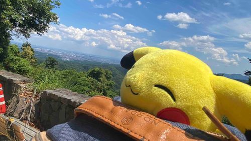 ぴっかさんを背負って高尾山に登ってきました。ぴっかさんは悠々自適でしたが主はへとへとです。