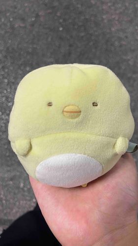 主の仕事終わりを労ってくれるお仕事をするぽんさん。これは、ね、寝てませんよ、ちゃんと起きて待ってましたよ、の顔。