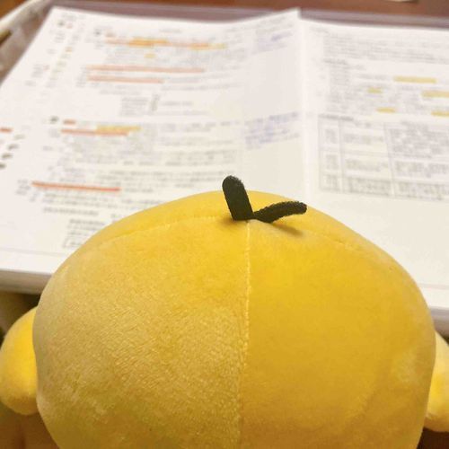 トリさんがお勉強の見守りをしてくれました。内容は分からないらしいです。
