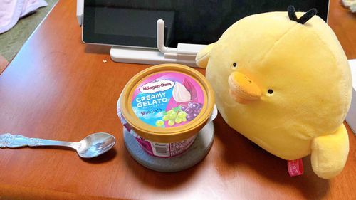 トリさんはハーゲンダッツを食べてしまいました。高級な味を知ってしまいましたね…。