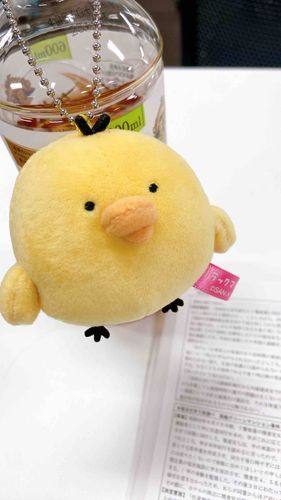 主の模試の応援にトリさんがついてきてくれました。どうやらお出かけのときは小さくなれるらしいです。