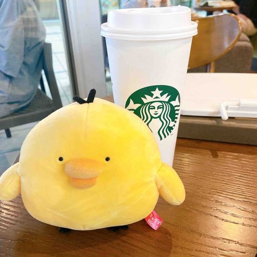 トリ、カフェ勉強に付き合ってくれてありがとうね　大きくなったけどまだベンティには敵わないね　