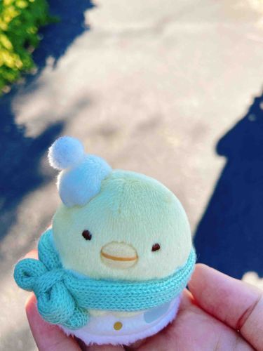 毎日のおさんぽについてきてくれるちびぺんも最近は冬の装いです