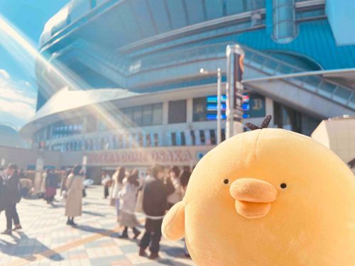 昨年末トリさんとライブに行きました
トリさんも心なしか楽しそうな顔をしています