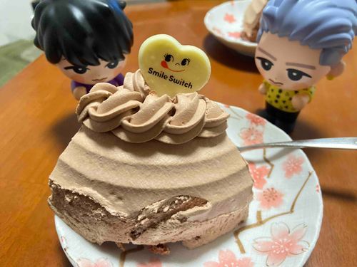 びたち、これがケーキだよ。今年はひかビチョイスのチョコだよ。