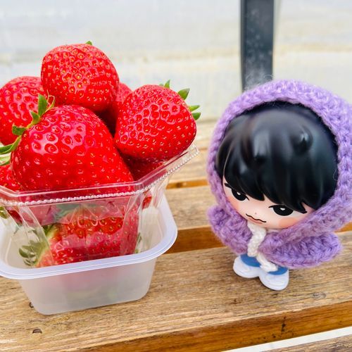 ふかビ、たくさんのいちごだよ。いちご狩りだから好きなだけ食べられるよ