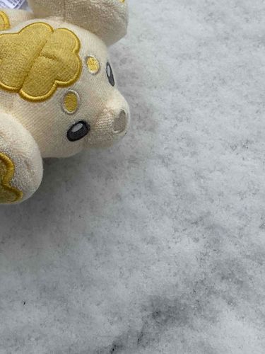 初めての雪だね！冷たいね！