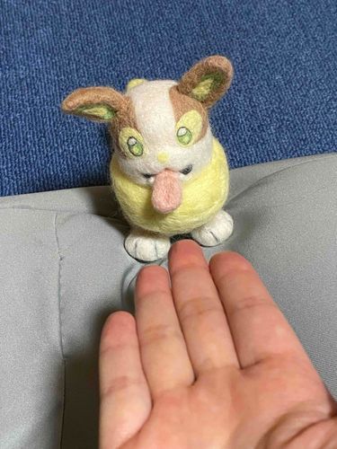 ピピちゃんと遊んでたらワンパチも遊んで欲しいみたいで走って寄ってきた。
順番に遊ぼうね