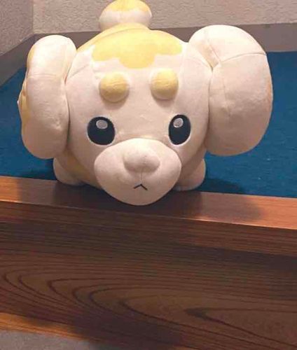 最近忙しくて全然遊べなくてごめんね。帰ってきたらいっぱい遊ぼうね。