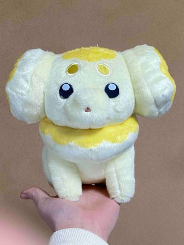 新しいピピちゃん！
おすわり上手