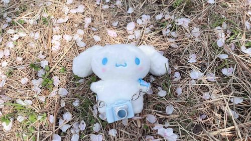 あいこん　に　つかっている　ぼくの　おきにいり　おしゃしん！
ふわふわ！