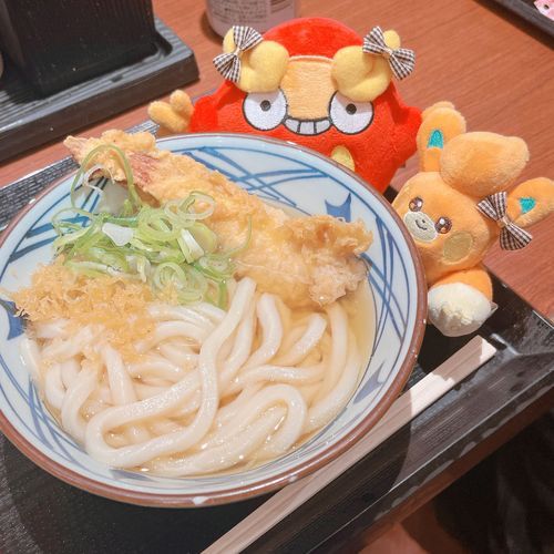 久しぶりの丸亀~
