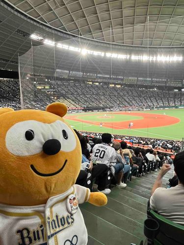 バファローズポンタ(本物)とベルーナドームに来たよー
サヨナラ負けだったのでトボトボ帰りました、、