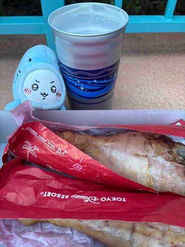 久しぶりにお正月ディズニーに来ておりますさめちいです
大好物のターキーレッグとるーびーとぱしゃり