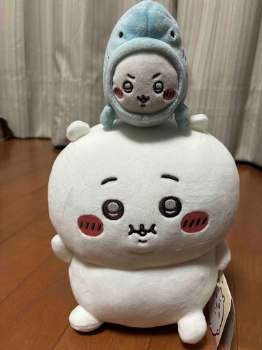 本日デブちいをお迎えしました〜
ようこそ！！