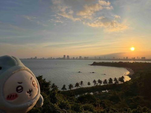 夕陽に照らされる、とってもチルなさめちいです
絶景です！

