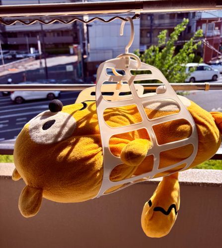 今日は天気がよかったので干されましたー☀️