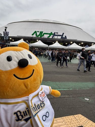 こんにちはバファローズポンタです
ベルーナドームにオリックスを応援しにきたよ
残念ながら試合には負けてしまいました、、